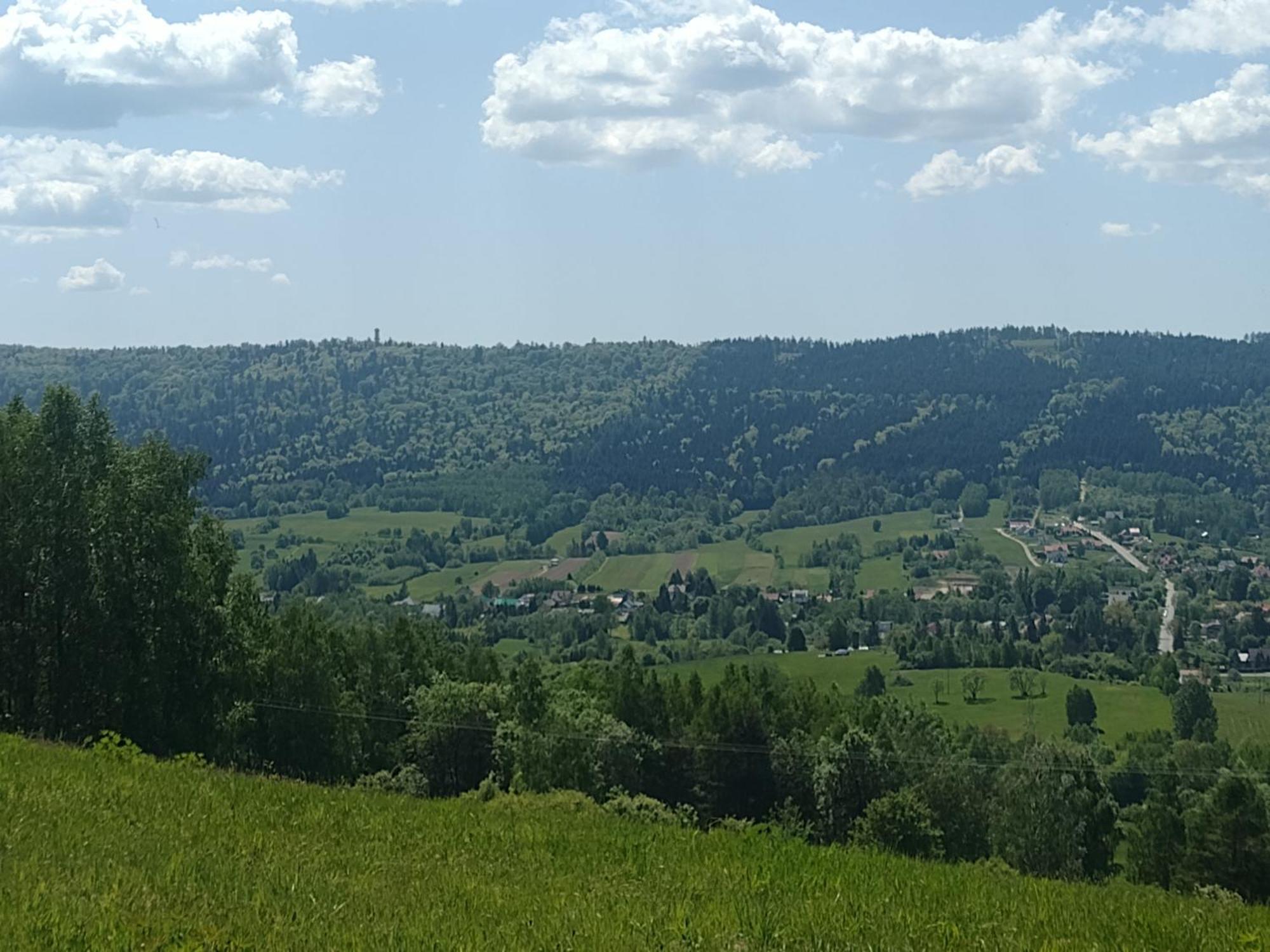 Domki Brzozowka W Bieszczadach Устшики-Дольне Экстерьер фото
