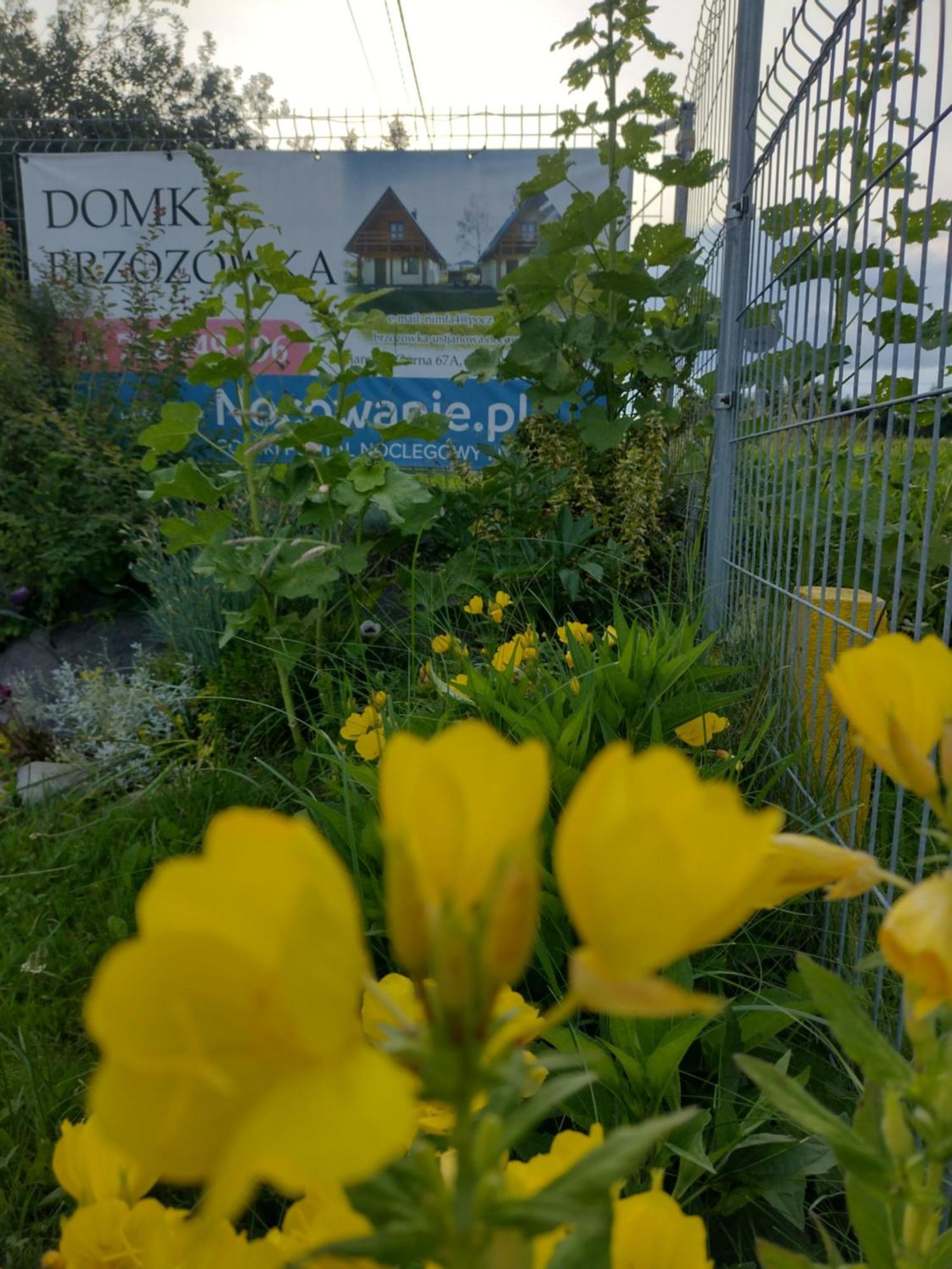 Domki Brzozowka W Bieszczadach Устшики-Дольне Экстерьер фото